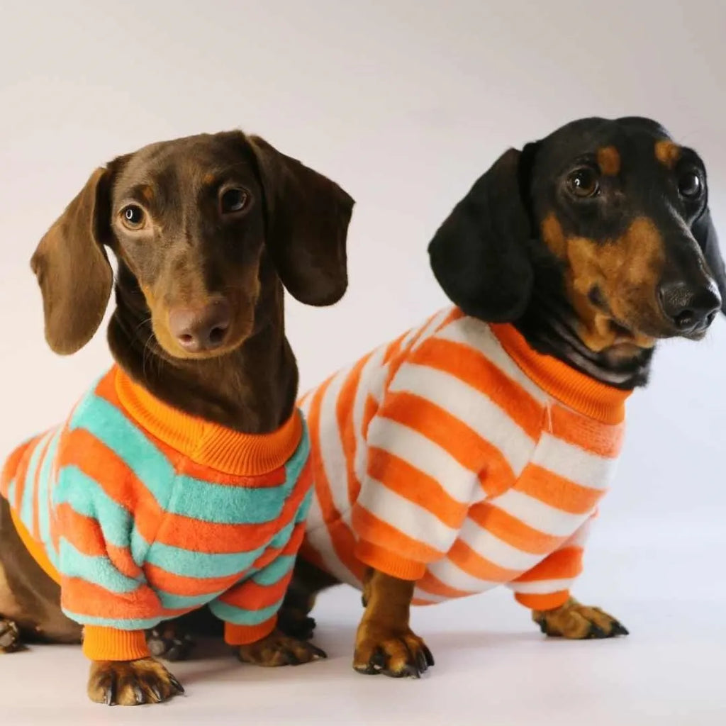 Orange red and white striped casual pet sweatshirt for dogs and cats on a hanger.