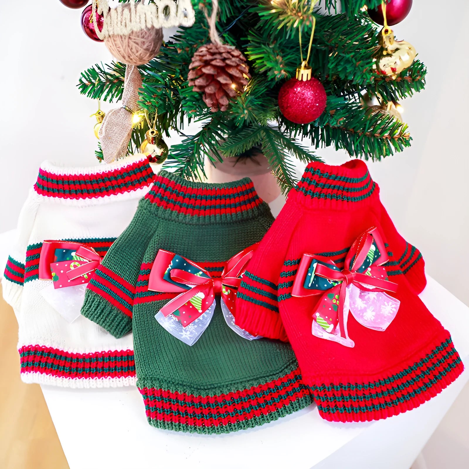 Dog wearing Christmas jumper in red colour, seasonal pet clothing for holiday photos