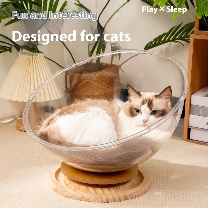 Transparent acrylic bathtub-shaped cat space capsule on a wood board base.