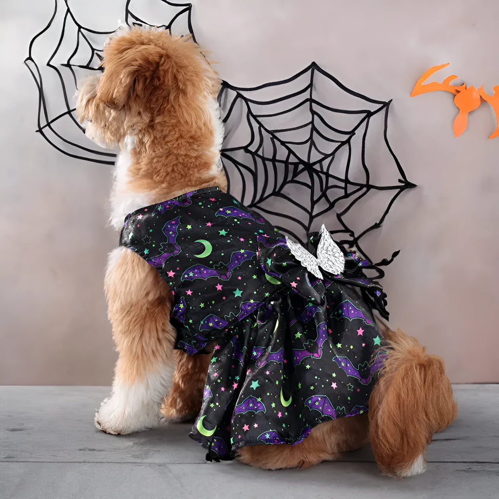 Halloween dog costume with angel wings in bright pumpkin colour, size medium.