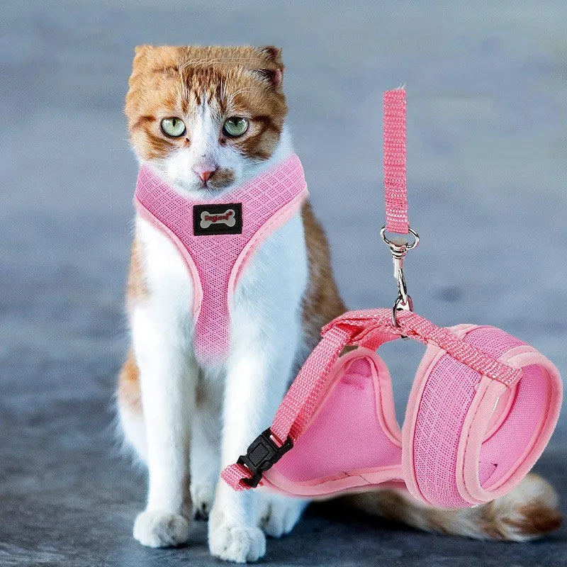 Anti-skidding mesh cat harness in Black with adjustable chest 28-38cm and 120cm leash on cat