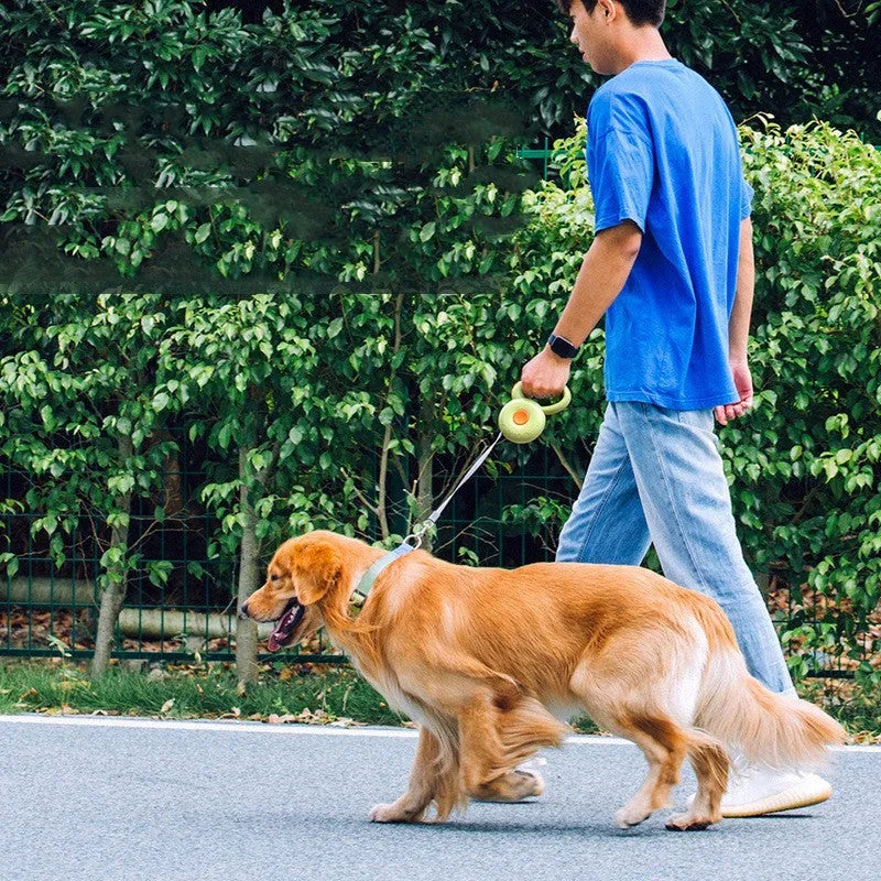 Retractable dog leash with reflective rope in green colour on a wooden floor