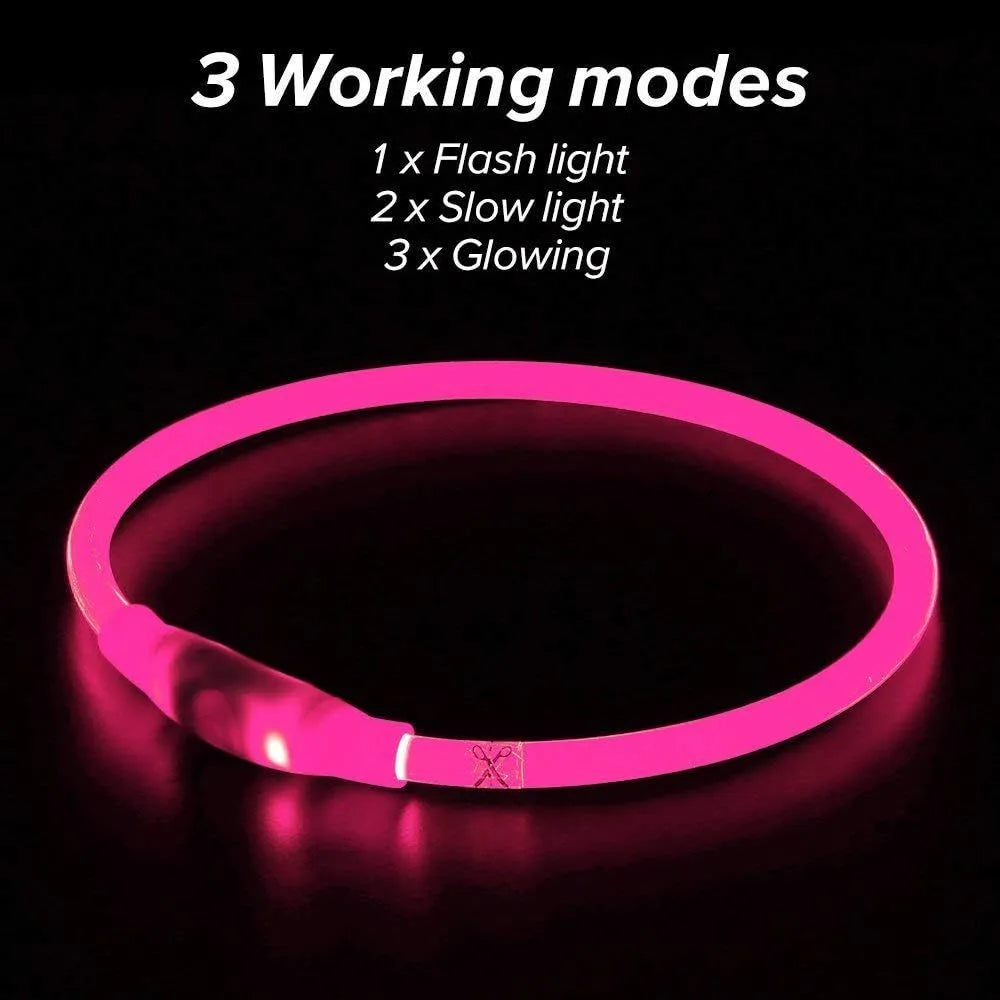 Blue USB rechargeable LED dog collar glowing on a dog's neck at night