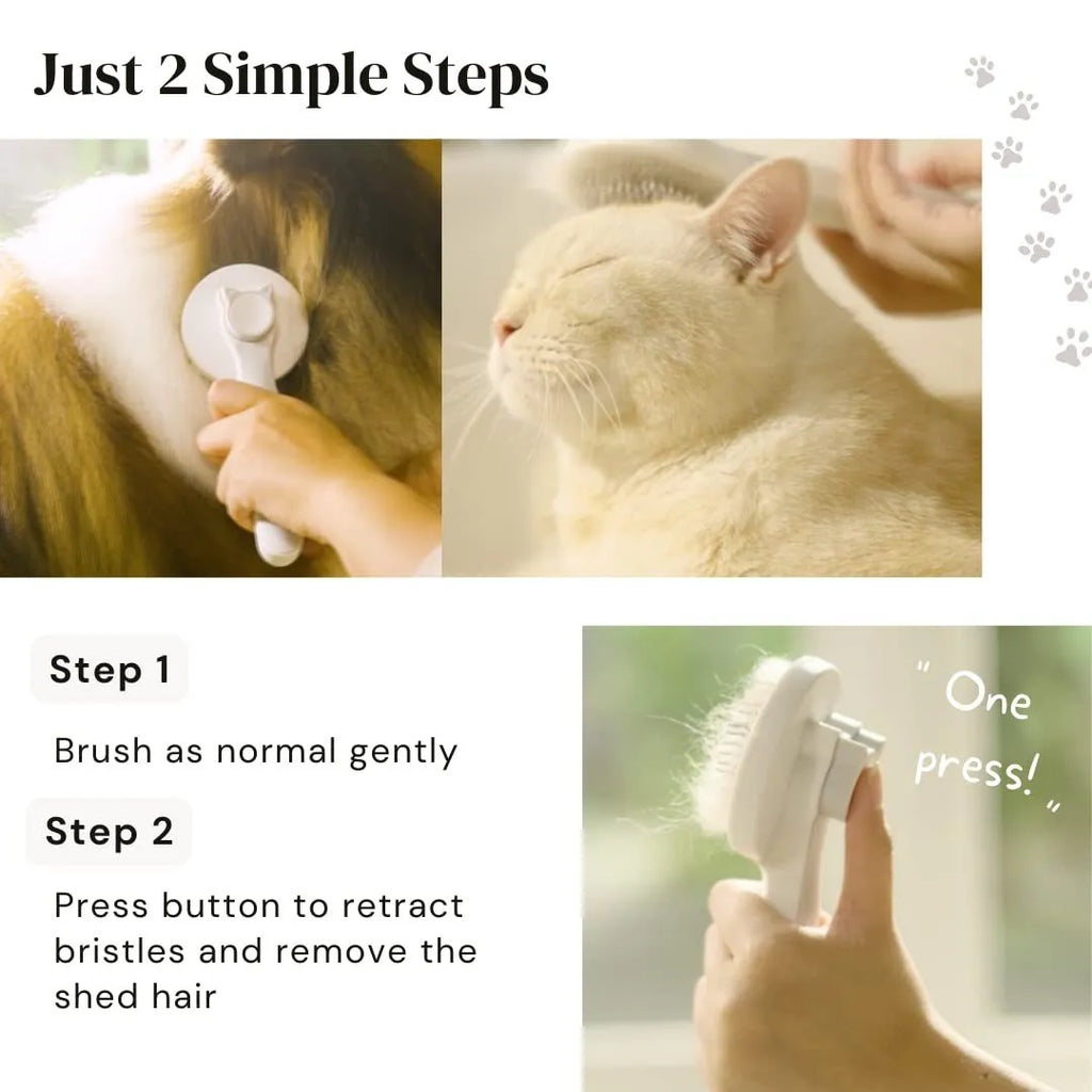 Self-cleaning pet grooming slicker brush with blue handle and stainless steel bristles