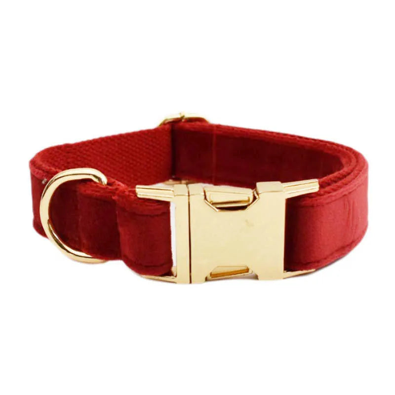 Complete dog collar and leash gift set with bow tie, vest and waste bag in festive colours