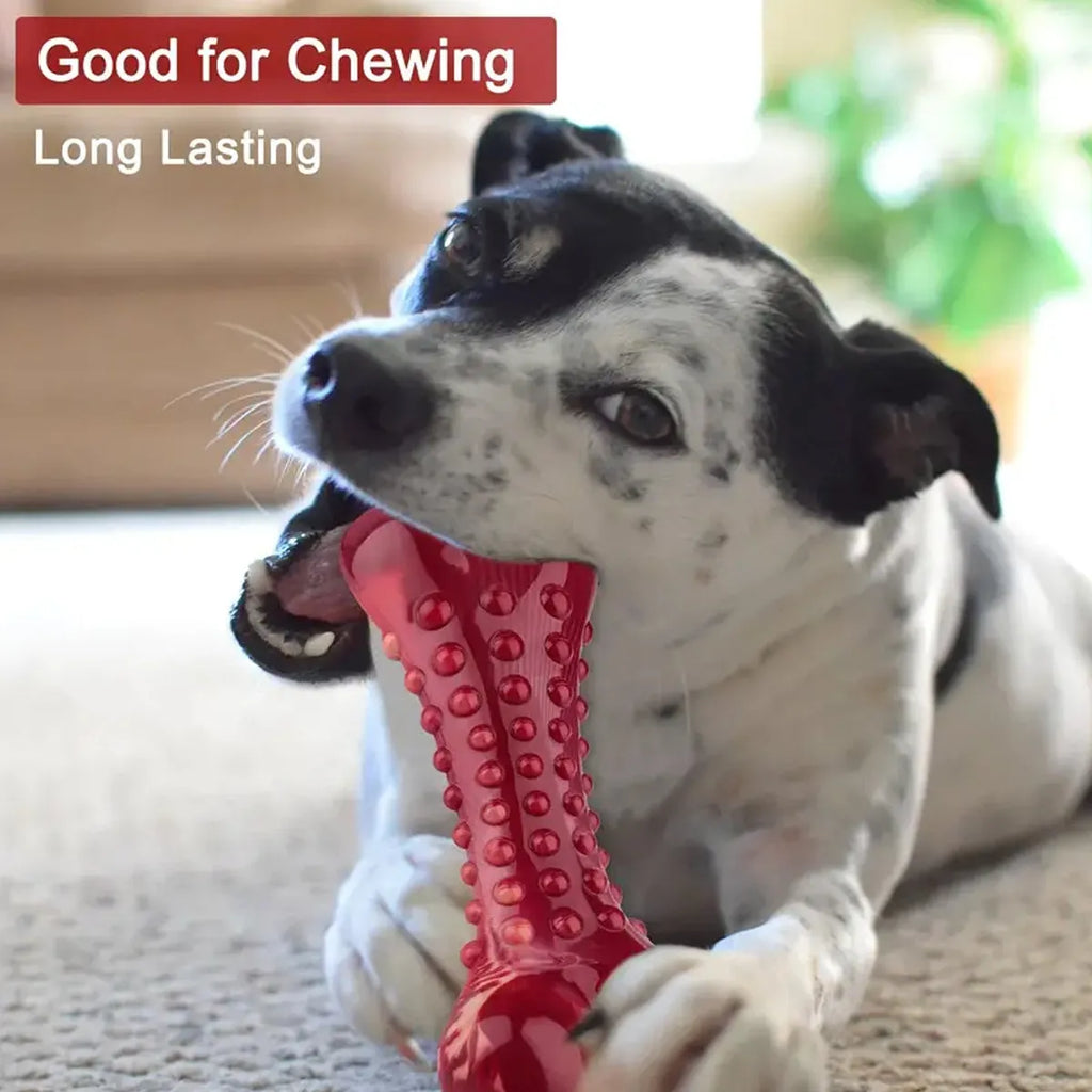 Red natural rubber chew toy for aggressive dogs and strong chewers