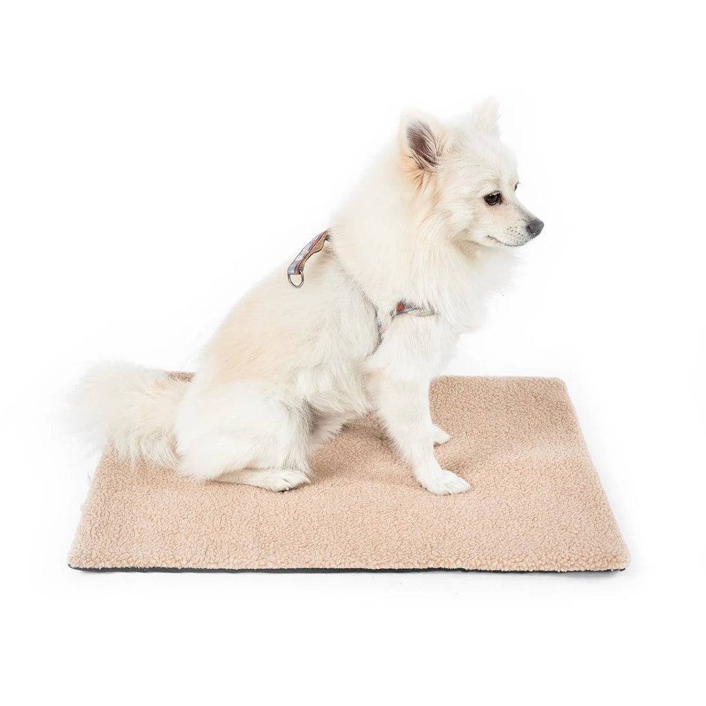Self heating pet pad for cats in plush material showing size options and colour variations