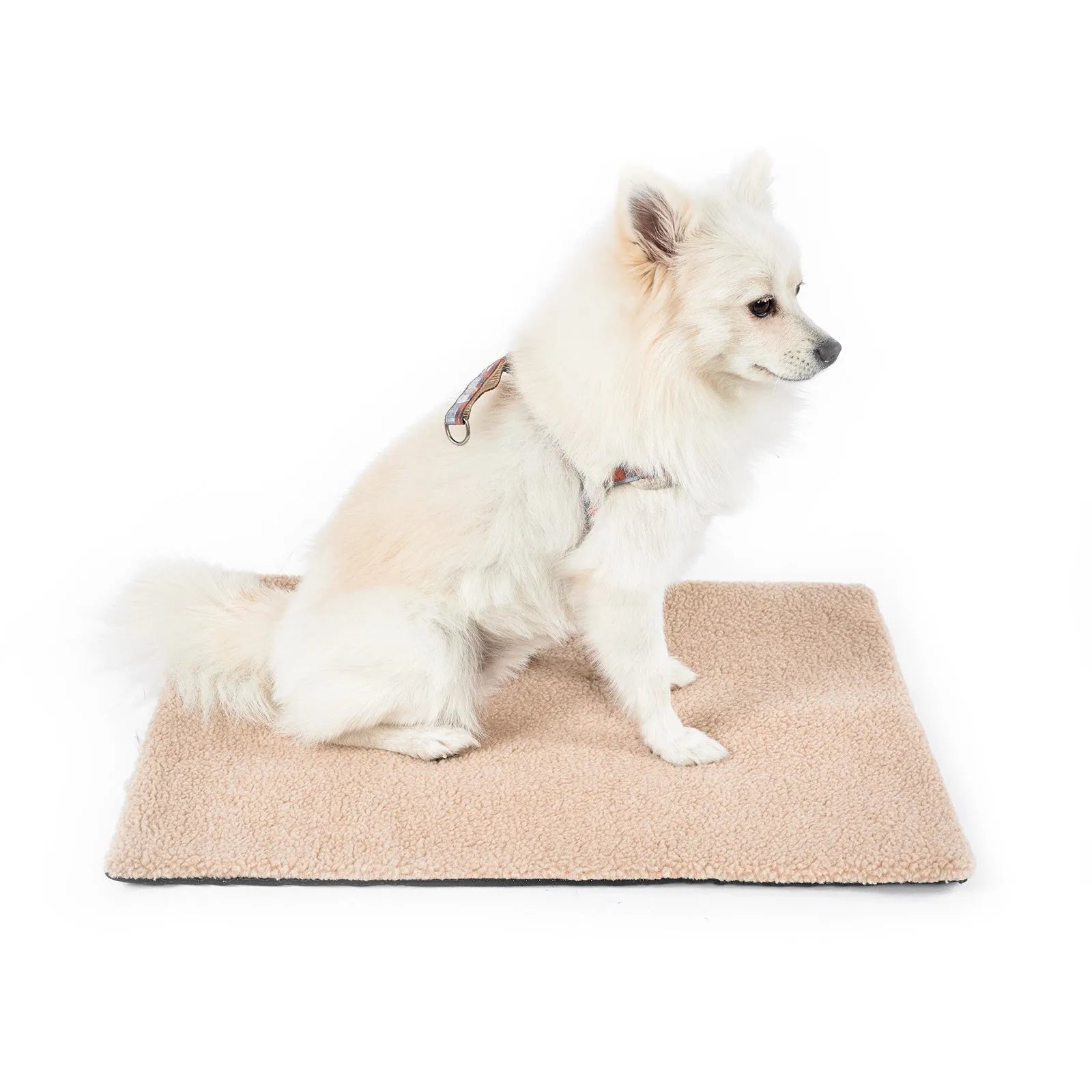 Self heating pet pad for cats in plush material showing size options and colour variations