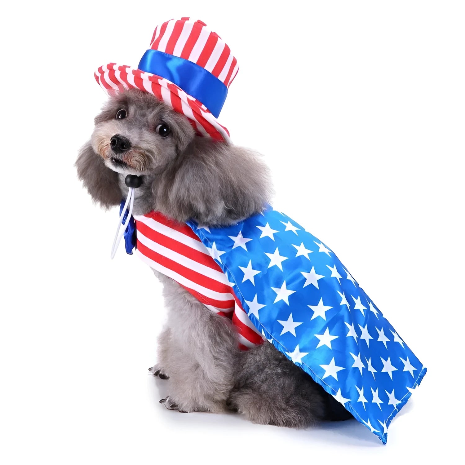 Dog wearing Christmas polyester costume with festive print, available in sizes S to XL