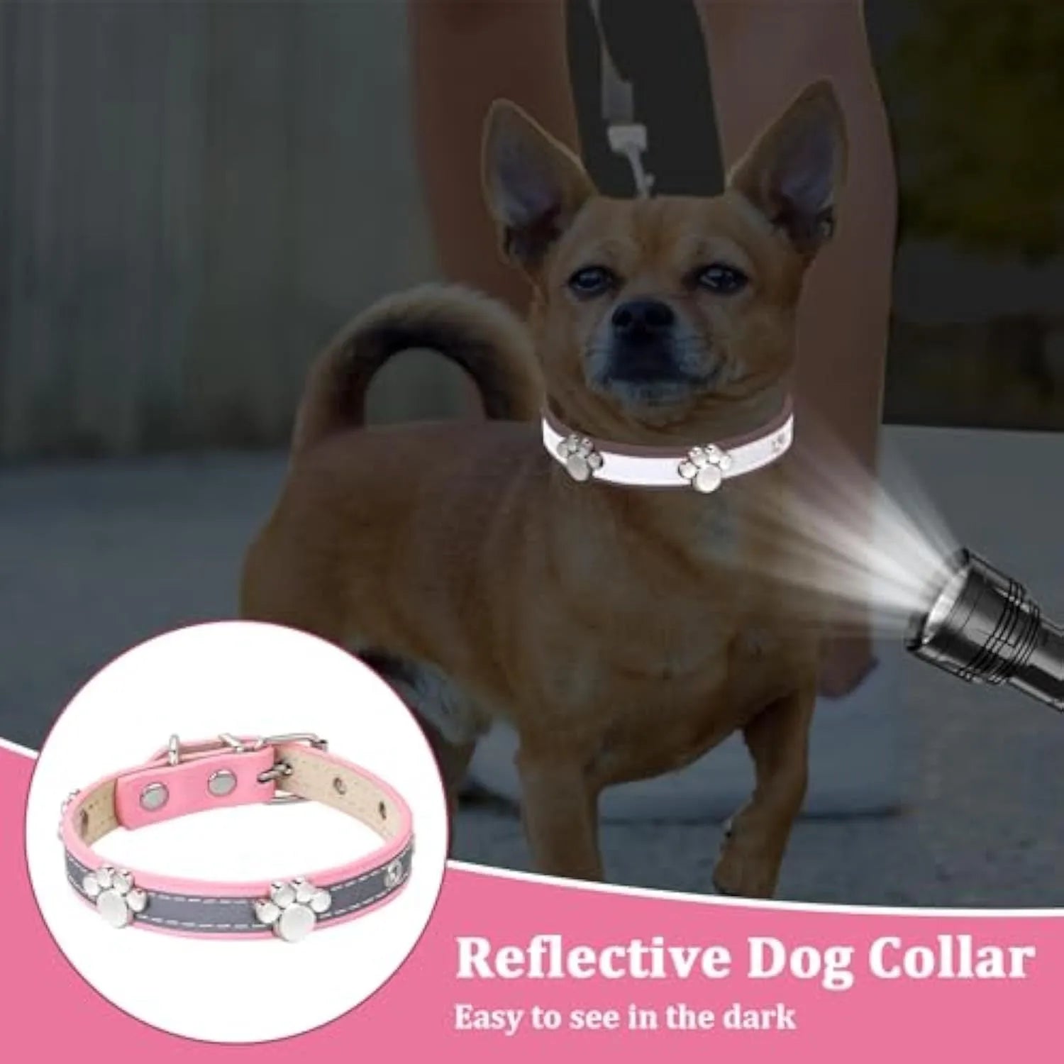 Reflective PU leather dog collar with metal buckle and cute paw rivet, shown in adjustable sizes for dogs.