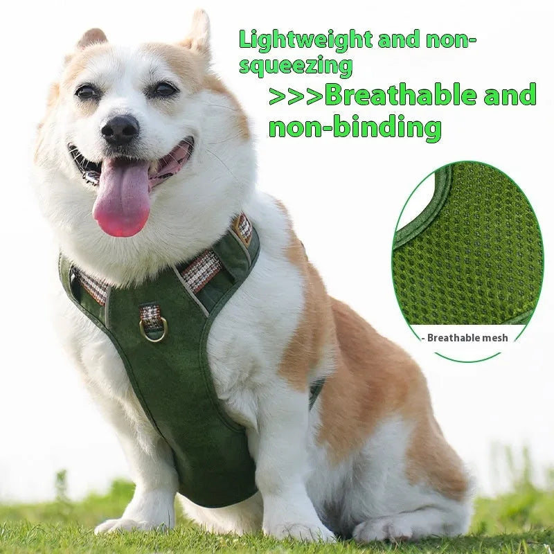 Brown leather dog harness with reflective strips and metal buckle closure