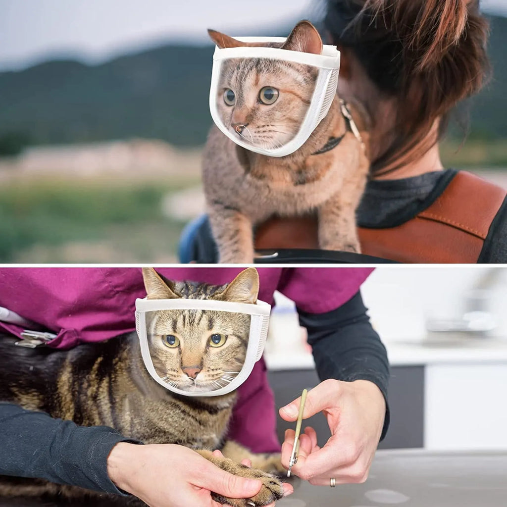 Transparent cat anti-bite muzzle with cotton construction and central breathing hole in S or M size