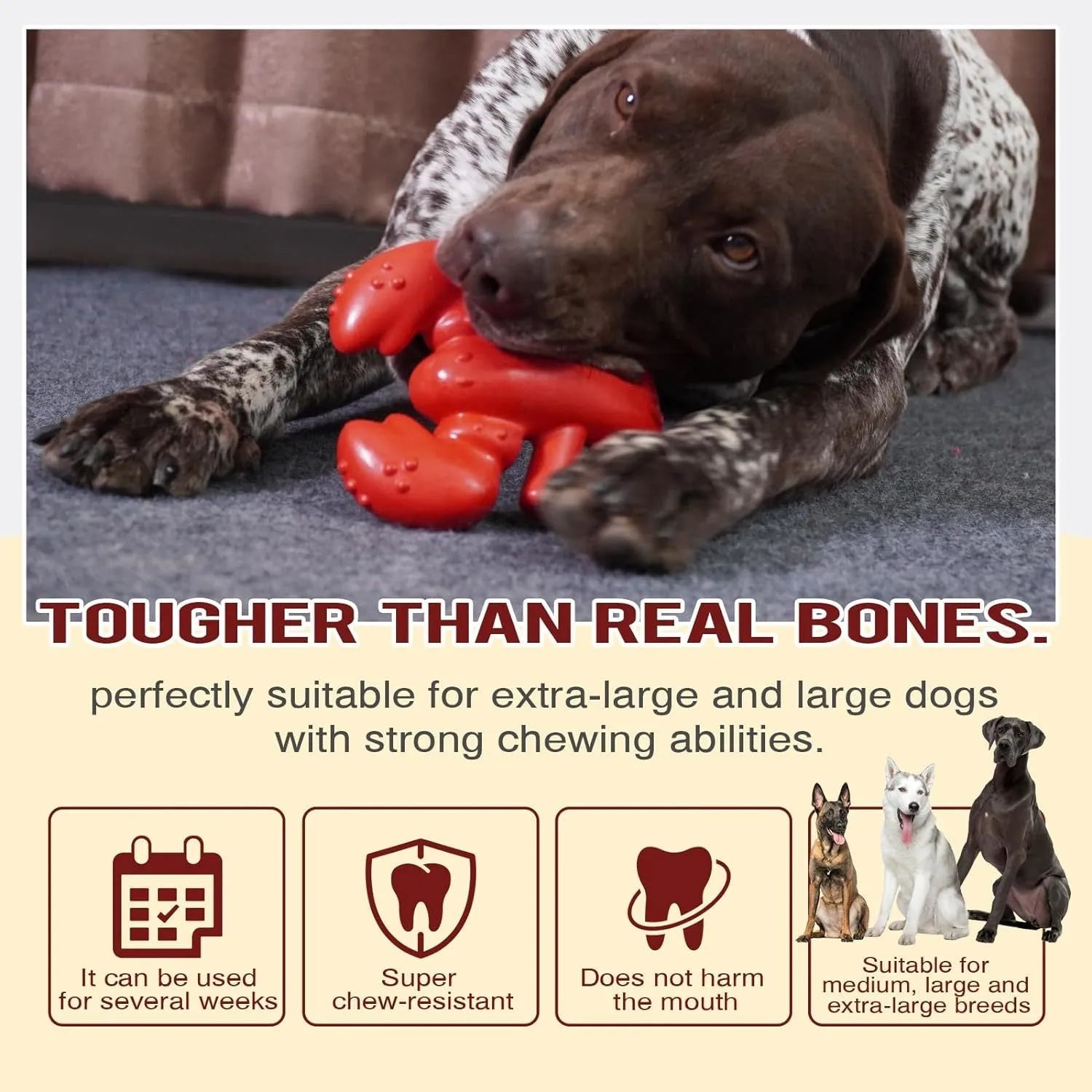 Red durable dog chew toy for large aggressive chewers, shown with size dimensions.