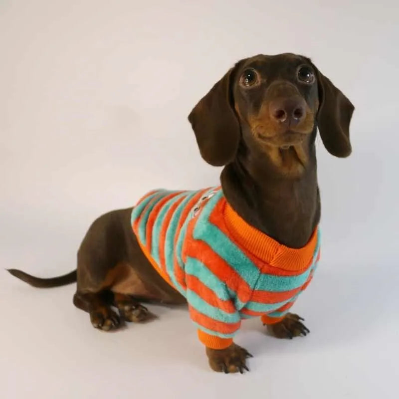 Orange red and white striped casual pet sweatshirt for dogs and cats on a hanger.