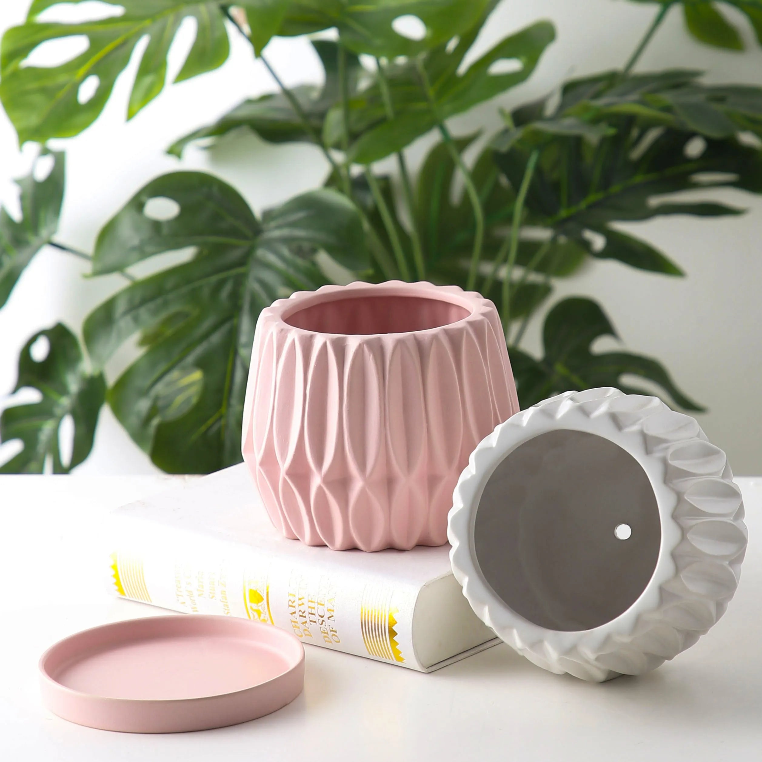 Grey ceramic medium-sized tabletop flowerpot for desktop or floor plants