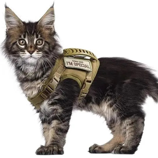 Cat chest strap vest harness in Oxford cloth free size with hand holding rope in black