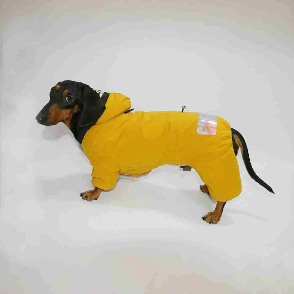Thickened four-legged pet clothing in beige on a small dog, winter outdoor use