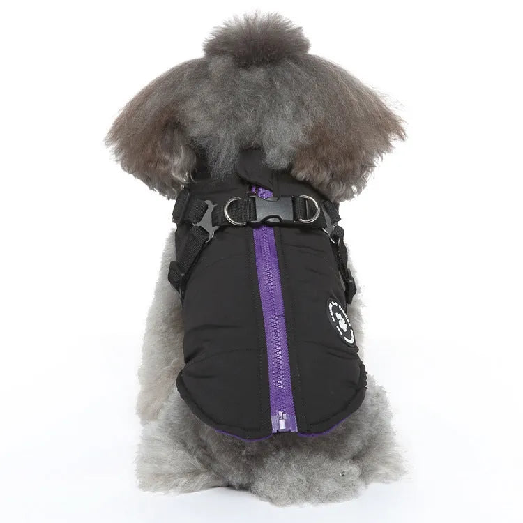 Chest strap dog winter jacket in blue, showing padded interior and adjustable strap.