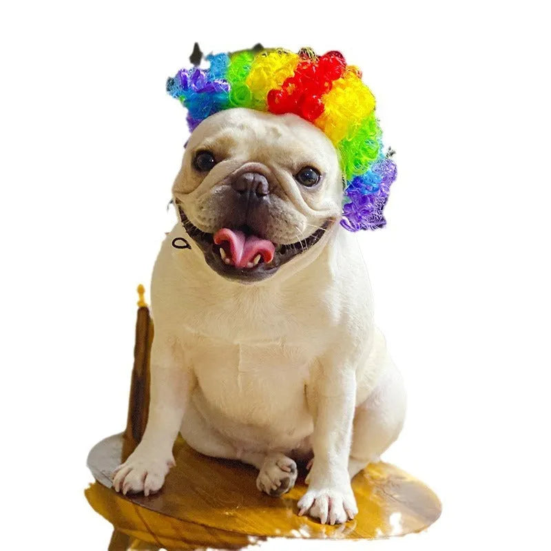 Adjustable pet wig sheath costume accessory on dog mannequin head showing nylon fibre construction