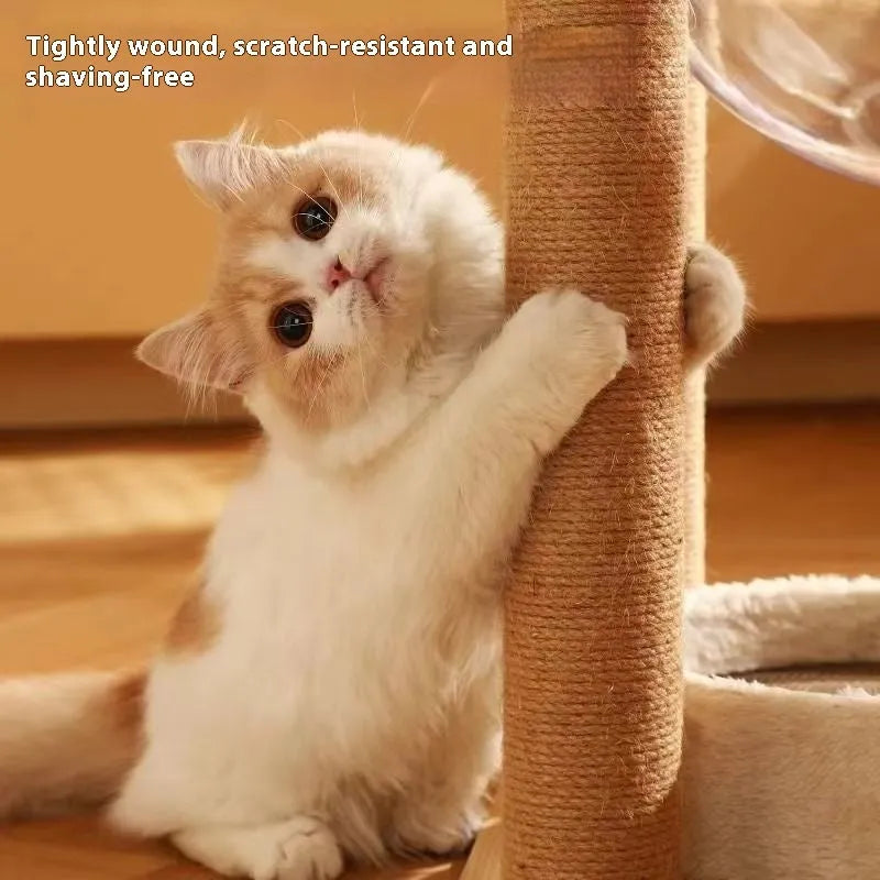 Wooden cat climbing frame with integrated space capsule pet bed in natural wood colour