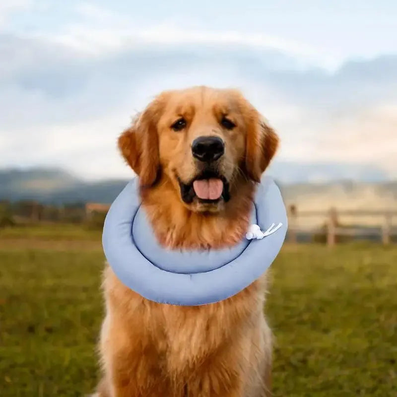 Adjustable waterproof Elizabethan collar cone for dogs and cats in blue colour with spring buckle closure