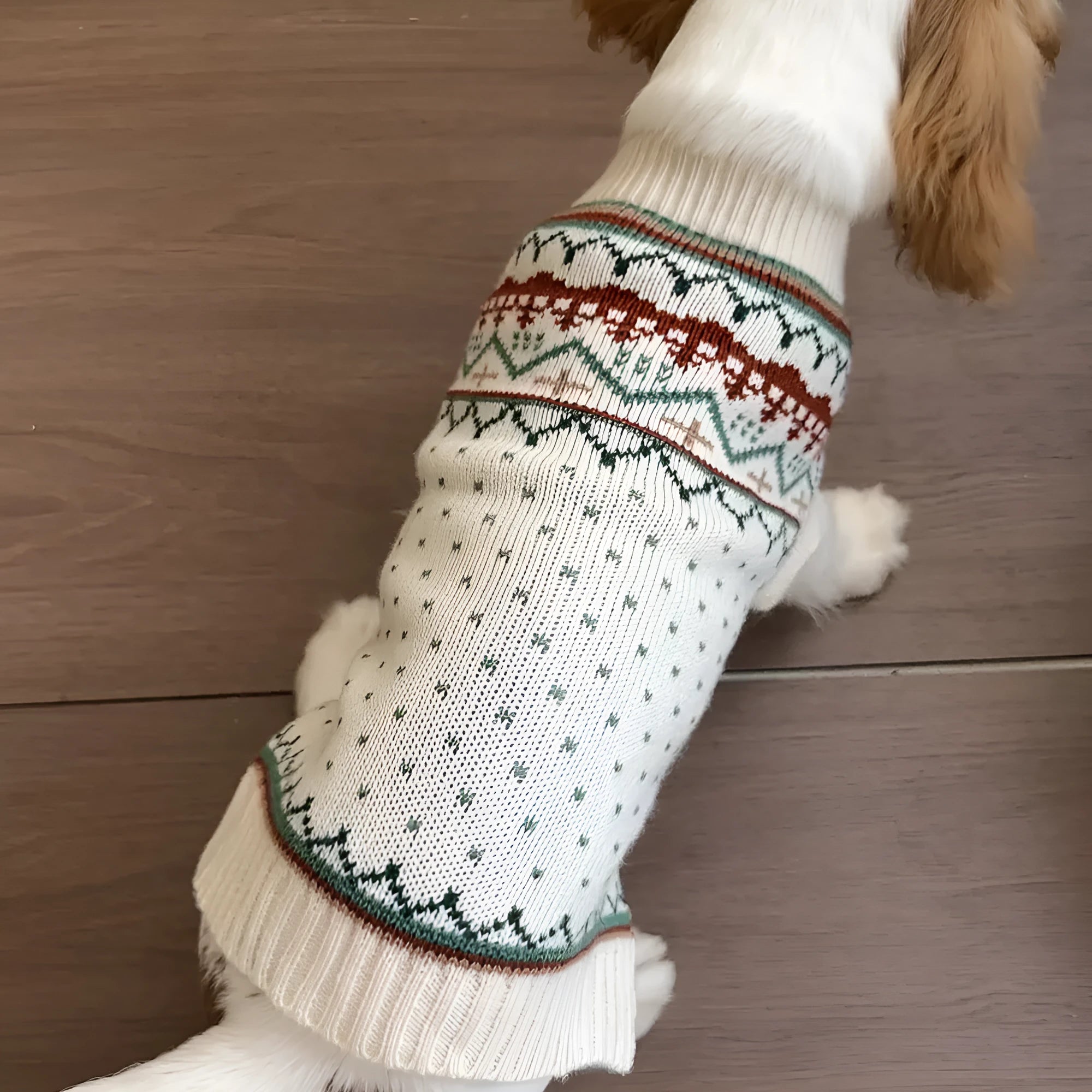 Fairisland beige dog sweater with green dots for autumn and winter wear on small to large dogs