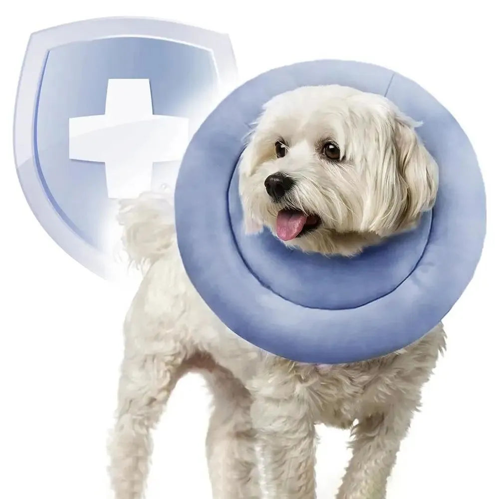 Adjustable waterproof Elizabethan collar cone for dogs and cats in blue colour with spring buckle closure