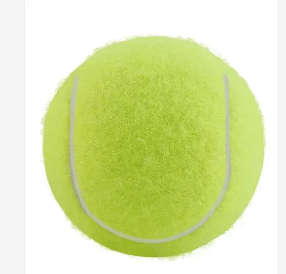 Bright pink, blue, yellow, green, and orange 6.3cm rubber tennis balls for dogs on grass.