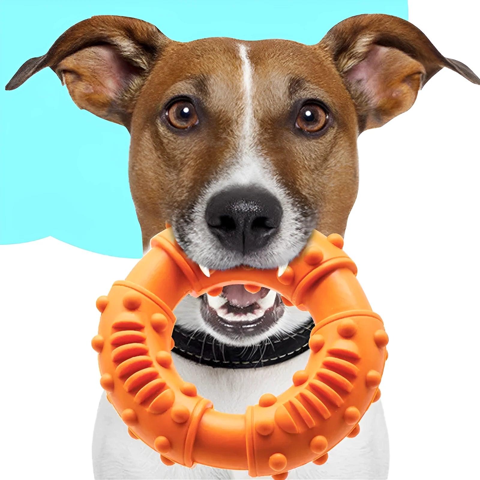 Blue orange red hollow lightweight dog fetch stick toy for puppies large breeds outdoor water games