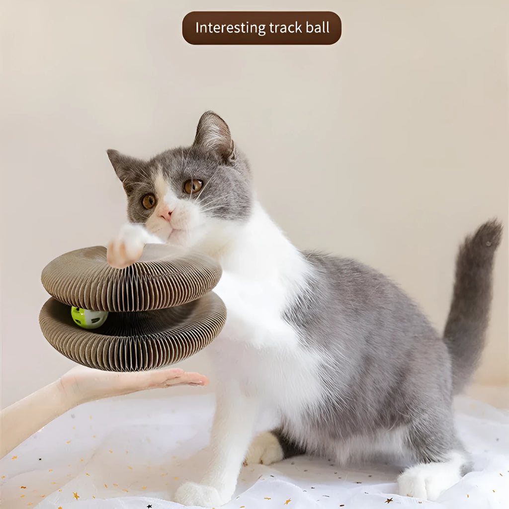 Pet magnetic folding organ toy cat scratch board in white with ball and menthol accessories on paper surface