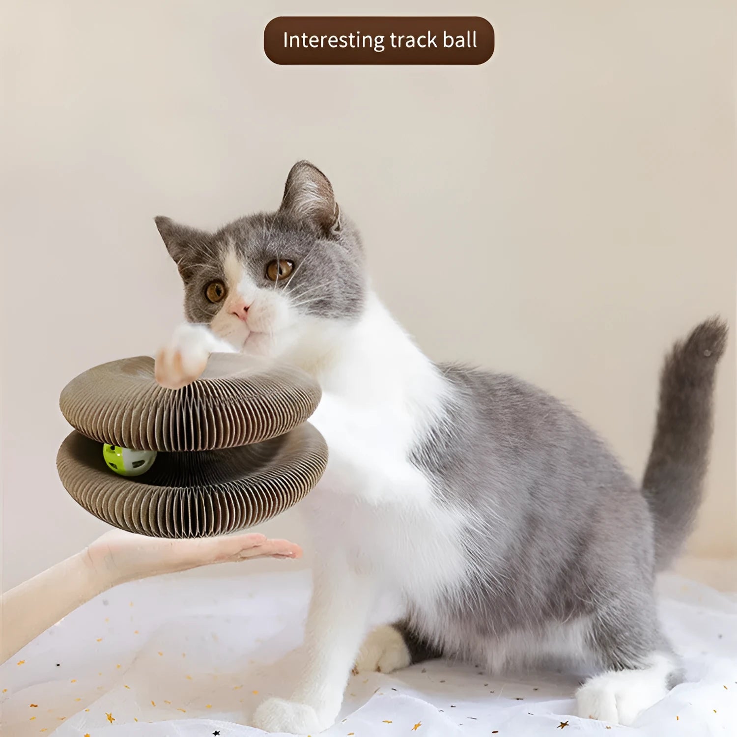 Pet magnetic folding organ toy cat scratch board in white with ball and menthol accessories on paper surface