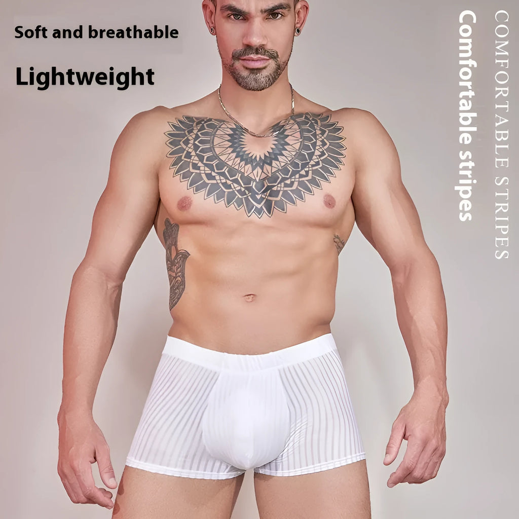 Men's striped underwear in thin transparent nylon fabric on a white background