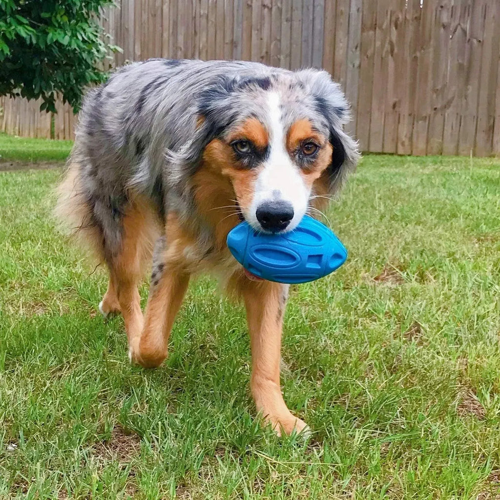 Blue, green, and orange natural rubber squeaky dog chew ball with grooved surface.