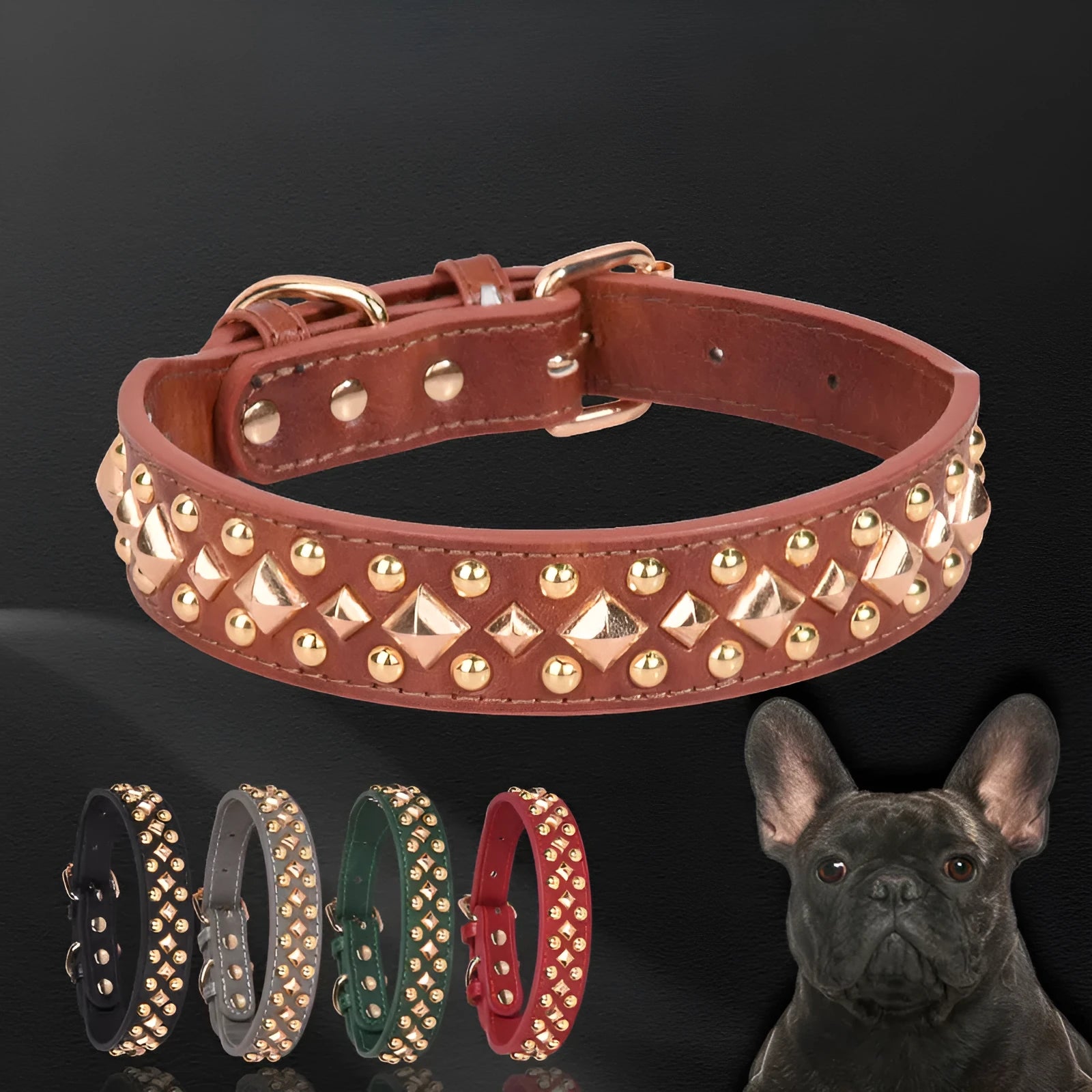 Rivet leather dog collar with golden rivet decoration in black on white background