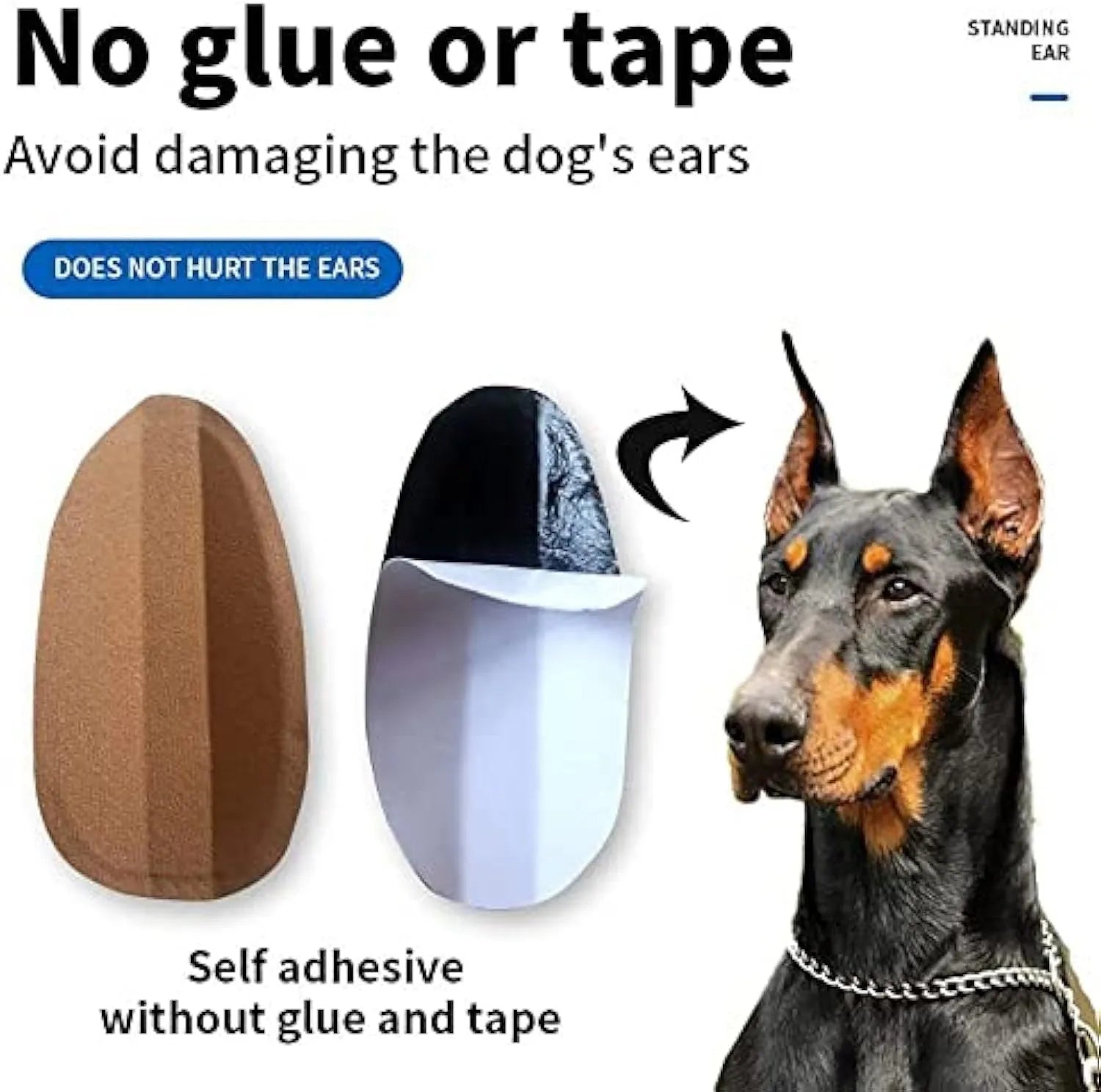 Dog ear support sticker tool for Doberman, Corgi, and Sheltie puppies on a white background