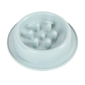 PP plastic pet slow feeder bowl in blue, green, or pink with maze design and non-slip base