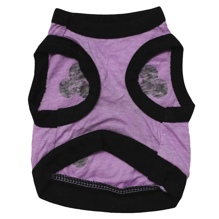 Blue Halloween dog vest with skull bones pattern on a small dog