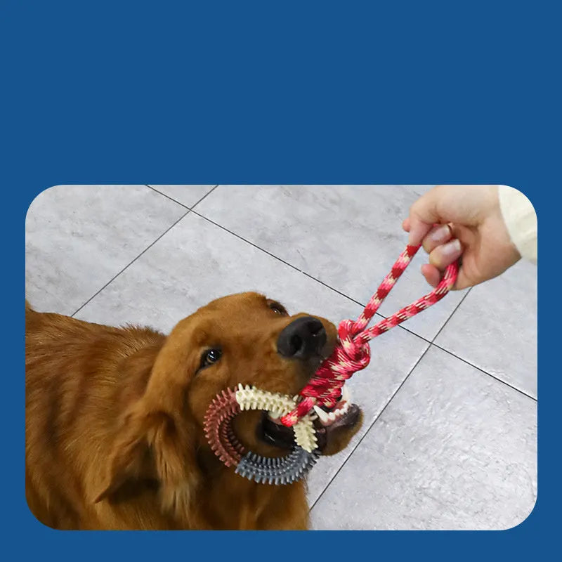 Blue braided rope dog toy with knots measuring 43cm long for puppy chewing