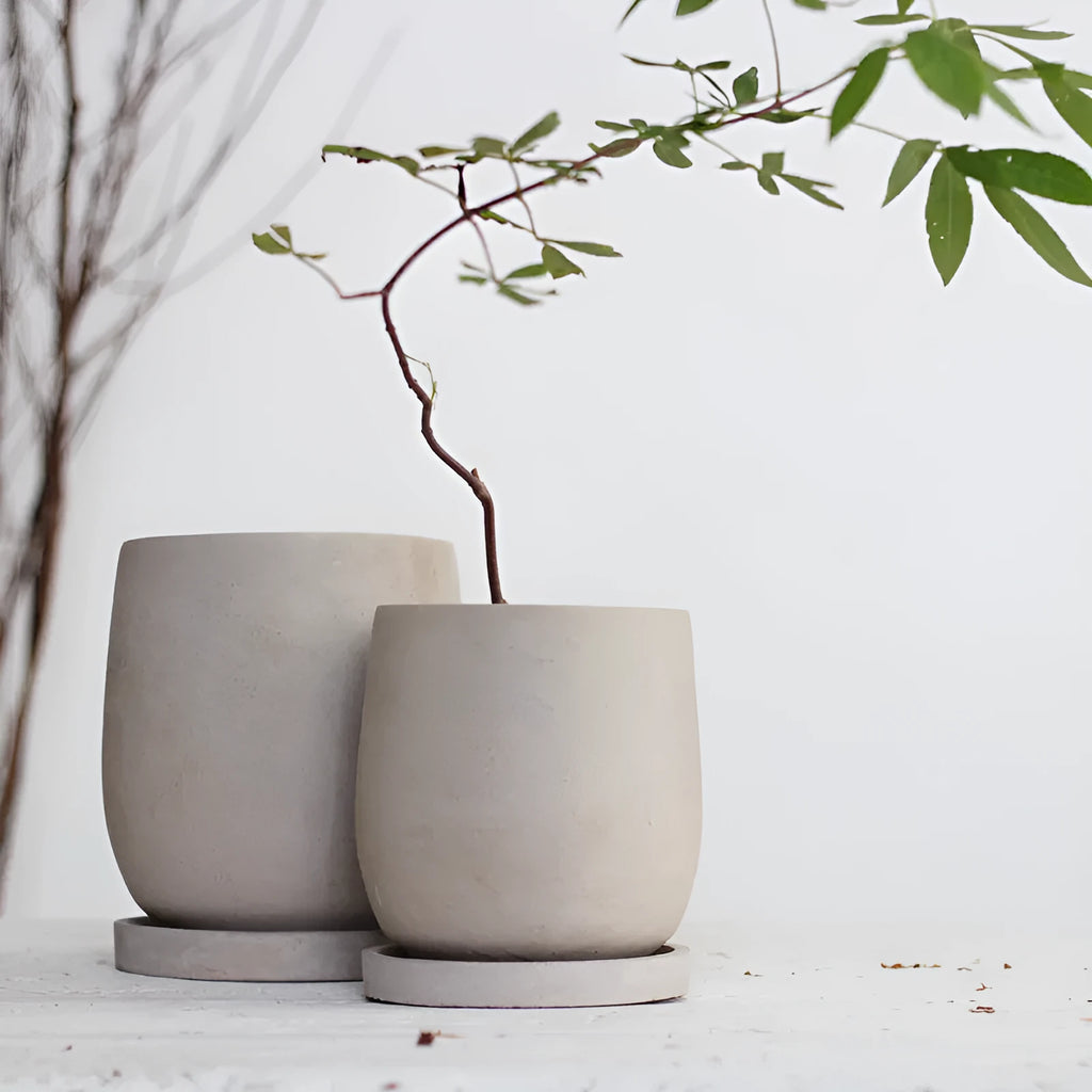 Round cement flower pot desktop 11cm natural colour with tray on a table