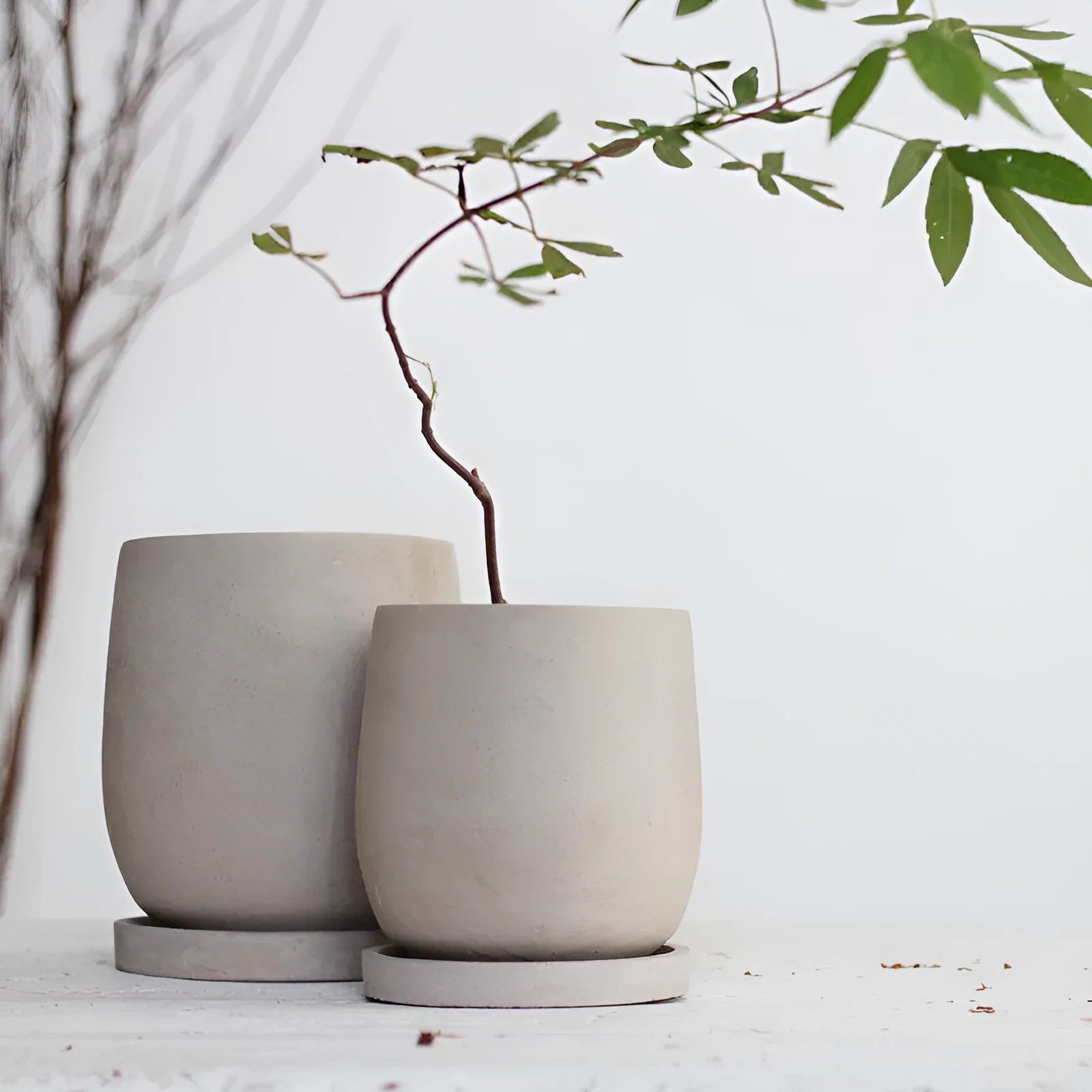 Round cement flower pot desktop 11cm natural colour with tray on a table