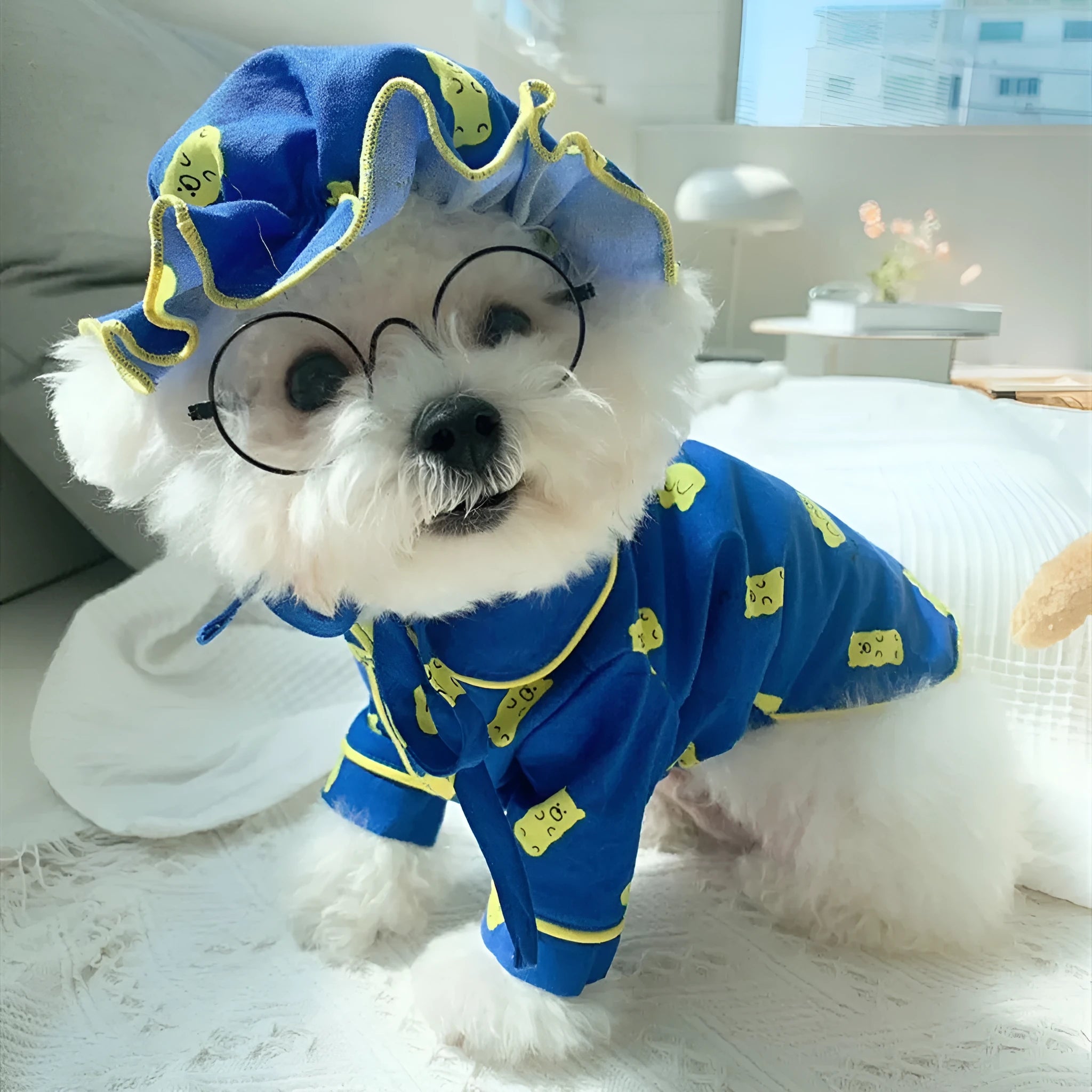 Pure cotton Candy Bear hat pajama set for dogs in vest style, available in sizes S to 2XL