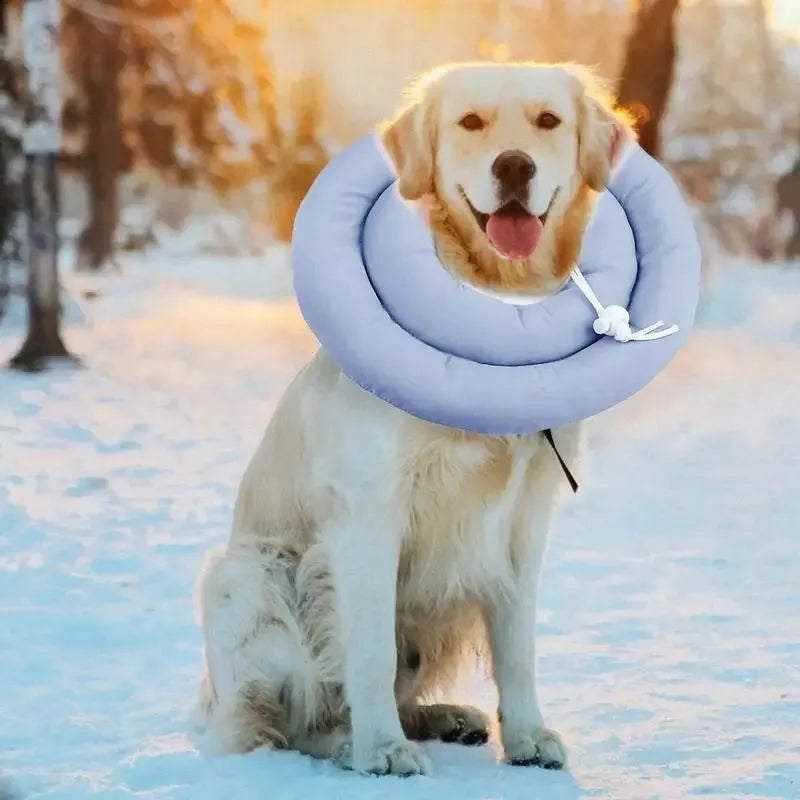 Adjustable waterproof Elizabethan collar cone for dogs and cats in blue colour with spring buckle closure