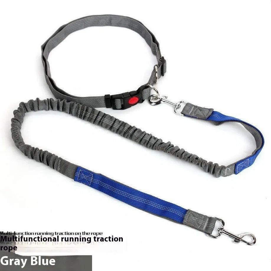 Gray and green nylon dog leash with reflective filament sling for outdoor night safety