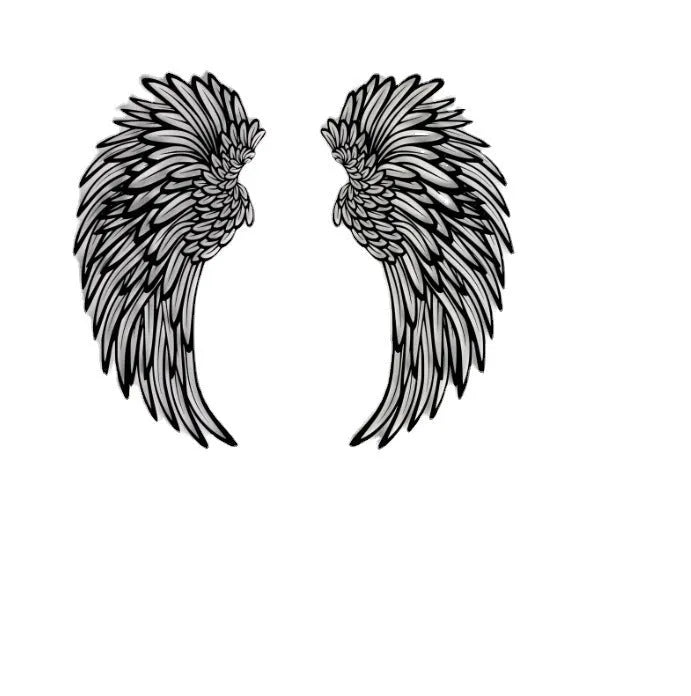 Carved metal wall decor art with light in angel wings shape, black iron, double-sided finish