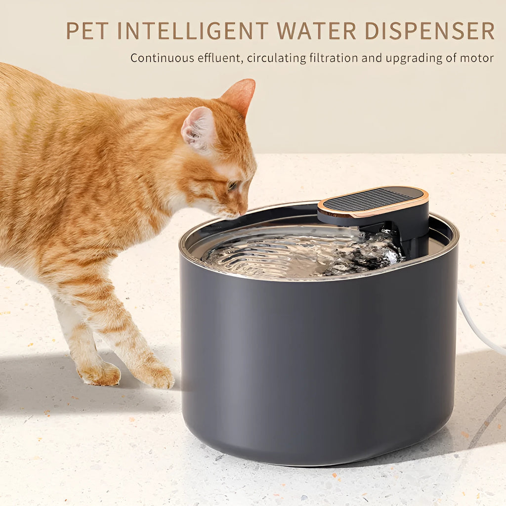 Automatic USB pet water fountain for cats and dogs in blue or white.