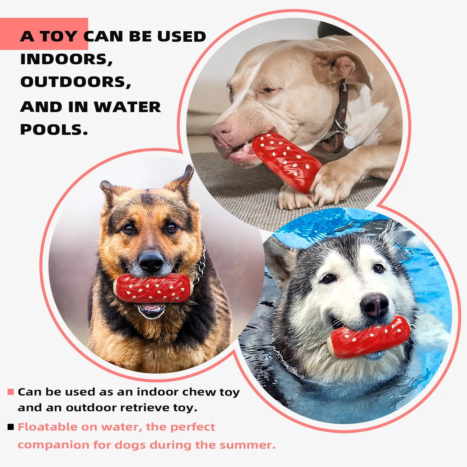 Plastic molar rod dog chew toy in a primary colour for small dogs.