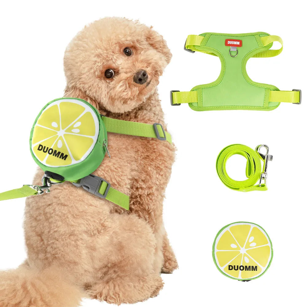 Green pet backpack and matching anti-slip chest strap set for a dog on a white background