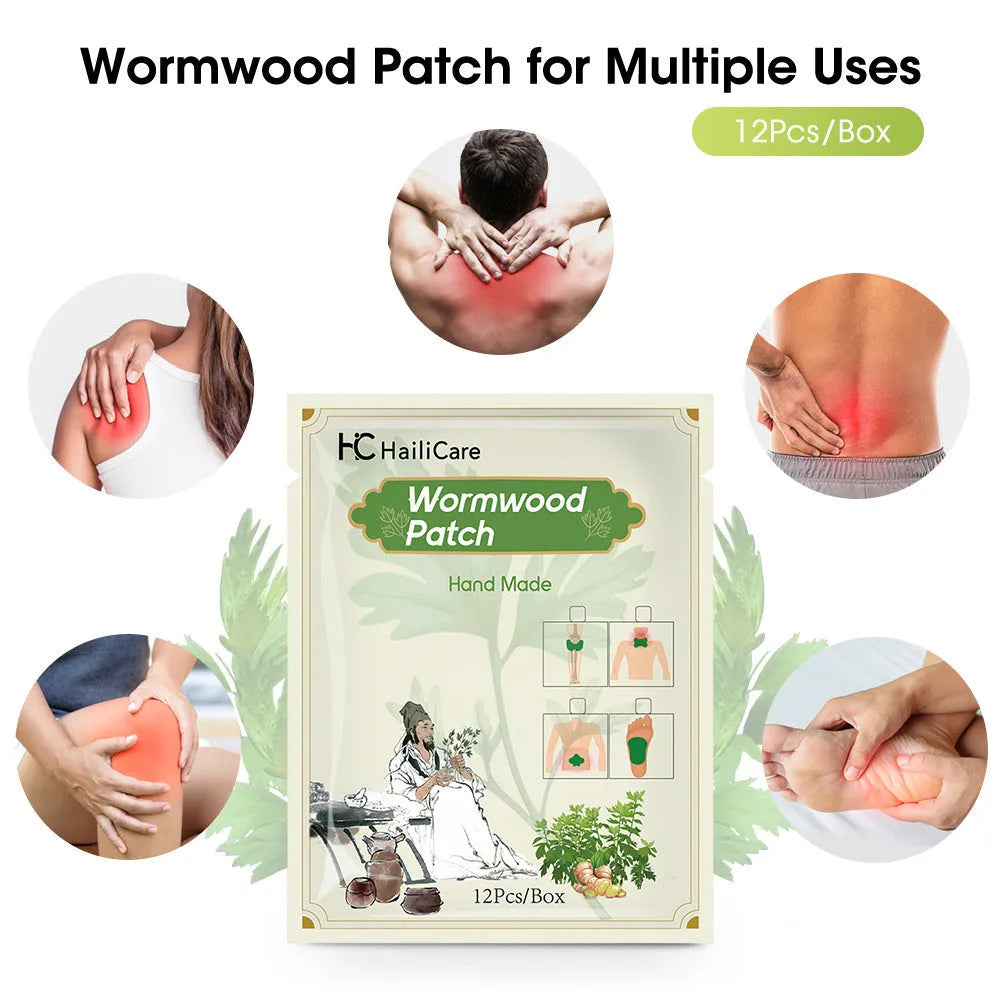 Mugwort paste patch bag containing twelve herbal patches for knee lumbar cervical and foot areas