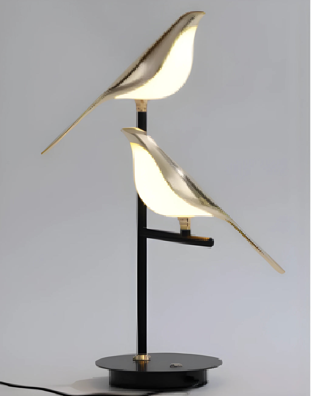 Modern simple iron chandelier with aluminum body and adjustable height for hall lighting.