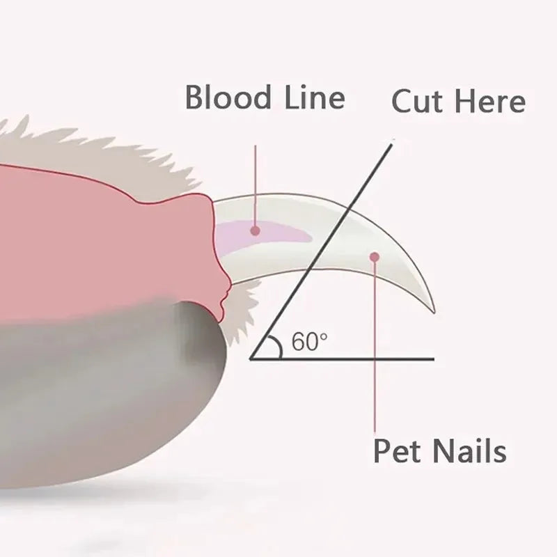 Blue pet nail clippers with LED light on, showing ergonomic non-slip handles and stainless steel cutting blades